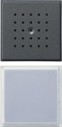 Gira Türstation 1-fach, Unterputzmontage, Anthrazit, 126067