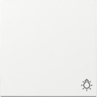 GIRA 328503 Wippe Symbol Licht System 55 Reinweiß glänzend