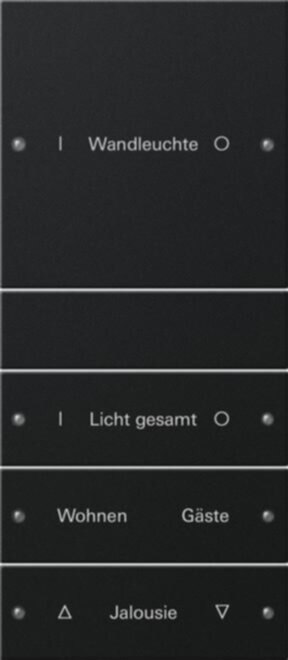 Gira Gira Wippenset 4-fach beschriftbar Sys 55 schwarz 2204005