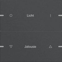 Gira Wippenset 2-fach Tastsens.4 TS4 Anthr 5032928