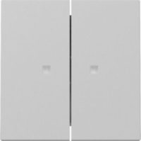 GIRA 3631015 Wippe 2fach Kontrollfenster System 55 Grau matt (lackiert)