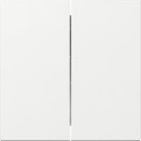 GIRA 349503 Wippe 2fach gerade System 55 Reinweiß glänzend