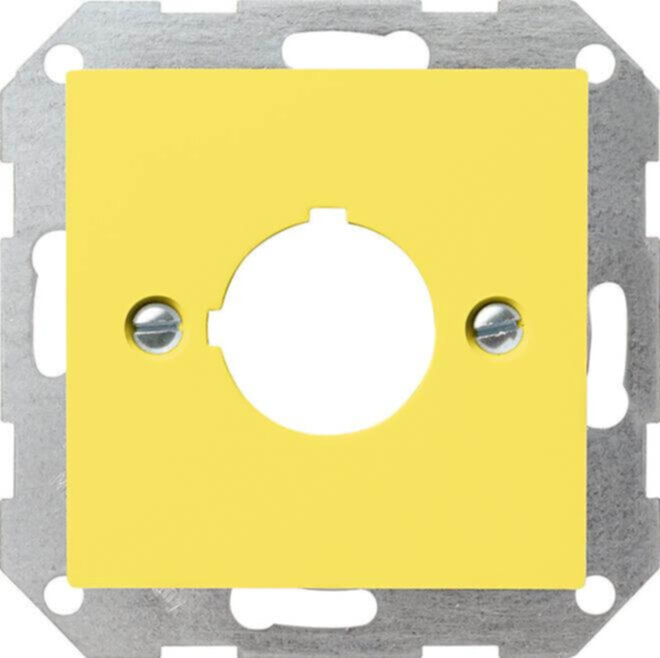 Gira Gira Zentraleinsatz ge-glänzend Aufnahme 22,5mm 027102
