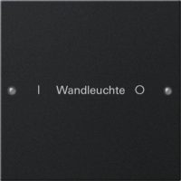 Gira Wippenset 1-fach beschr. System 55 schwarz 2201005