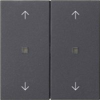 Gira Wippe 2-fach Anthrazit 538628