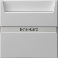 Gira Hotel-Card-Taster Wechsler(bel.) grau 0140015
