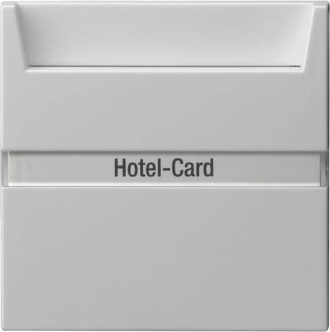 Gira Gira Hotel-Card-Taster Wechsler(beleuchtet) grau 0140015