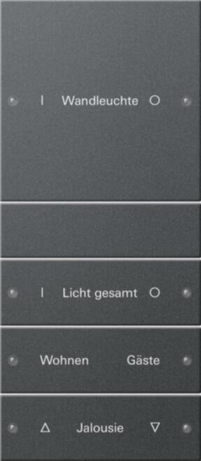 Gira Gira Wippenset 4-fach beschr. Sys 55 Anthr 220428