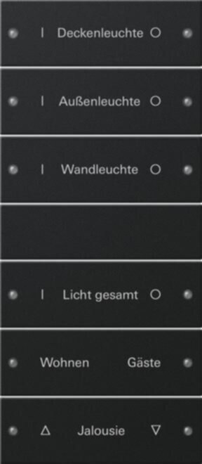 Gira Gira Wippenset 6-fach beschriftbar Sys 55 schwarz 2206005