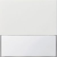 Gira Wippe rws/gl für Wechselschalter 0676112