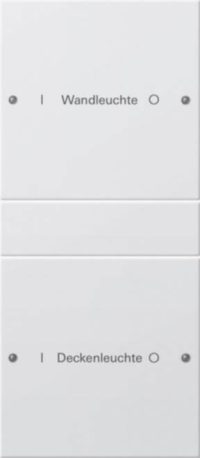 Gira Wippenset 2-fach beschr. Sys 55 reinweiß 220203