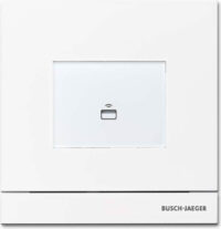 Busch-Jaeger Zutrittskontrolle außen studioweiß-matt Transp 83100/72-664