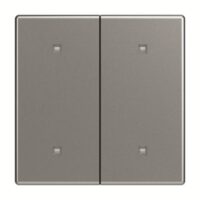 Busch-Jaeger Wippe 2-fach Elektroniktaster 2570-20-866