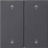 Gira Wippe 2-fach Anthrazit 538728