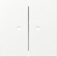 GIRA 363127 Wippe 2fach Kontrollfenster System 55 Reinweiß seidenmatt