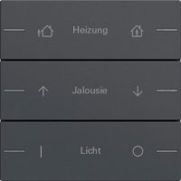 GIRA 576328 Wippenset 3fach indiv. Tastsensor4 System 55 Anthrazit
