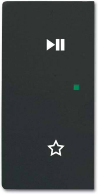 Busch-Jaeger Busch-Jaeger Wippe schwarz matt 6237-21-885