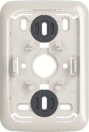 Busch-Jaeger Busch-Jaeger Montageplatte Doppelsteckdose 2609/202 APJ-DWCDW