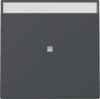 GIRA 367028 Wippe Kontrollfenster+BSF System 55 Anthrazit