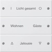 Gira Wippenset 3-fach beschr. Sys 55 reinweiß 220327