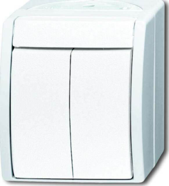 Busch-Jaeger Busch-Jaeger Serienschalter 2601/5 W-54