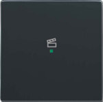 Busch-Jaeger Wippe 1-f Symbol Szene anthrazit 6233-10-81