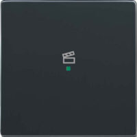 Busch-Jaeger Wippe 1-f Symbol Szene anthrazit 6233-10-81