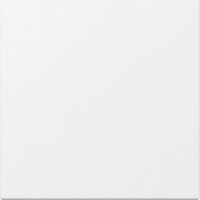 GIRA 349603 Wippe gerade System 55 Reinweiß glänzend