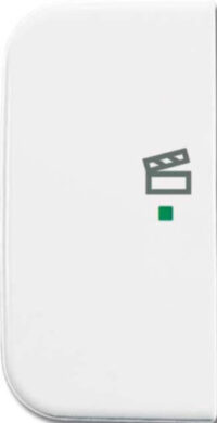 Busch-Jaeger Wippe 1-fach, Symbol Licht alpinweiß 6233-21-214