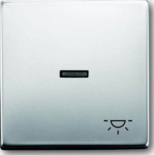 Busch-Jaeger Busch-Jaeger Wippe Edelstahl mit Symbol Licht 1789 LI-866