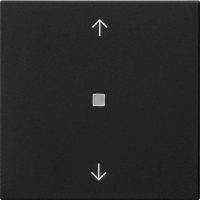 Gira Wippe 1-fach Schwarz 5388005