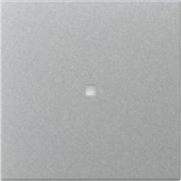 GIRA 349026 Wippe gerade Kontrollfenster System 55 Farbe Alu