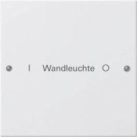 Gira Wippenset 1-fach beschr. Sys. 55 reinweiß 220127