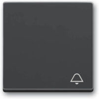 Busch-Jaeger Wippe mit Aufdruck anthrazit 2520 KI-81