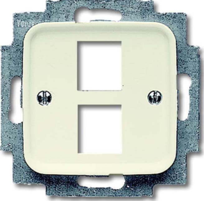 Busch-Jaeger Busch-Jaeger Zentralscheibe weiß für 2 Modular Jack 2561-02-212