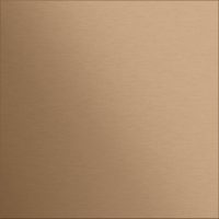 Gira Frontpl. Info-/Blindmodul Bronze 5554921