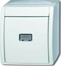Busch-Jaeger Taster alpinweiß Wechsler 2621 W-54-206