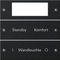 Gira Wippenset 2-fach beschr. Sys 55 schwarz 2212005