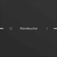 Gira Wippenset 1-fach Tastsens TS4 schwarz 5031905