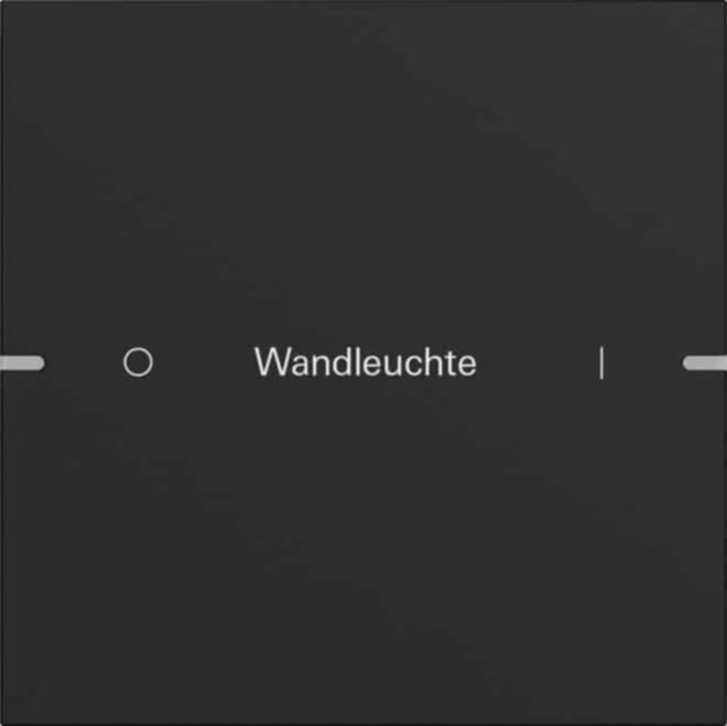 Gira Gira Wippenset 1-fach Tastsens TS4 schwarz 5031905