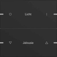 Gira Wippenset 2-fach Tastsens.4 TS4 schwarz 5032905