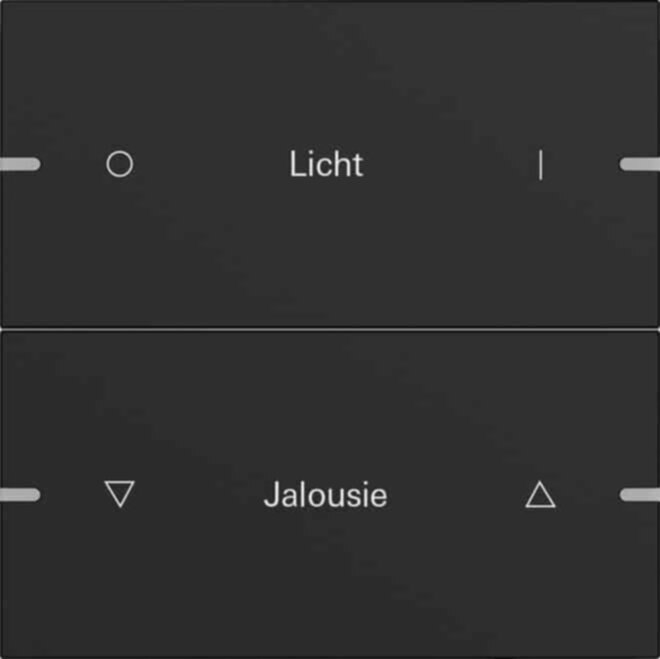 Gira Gira Wippenset 2-fach Tastsens.4 TS4 schwarz 5032905