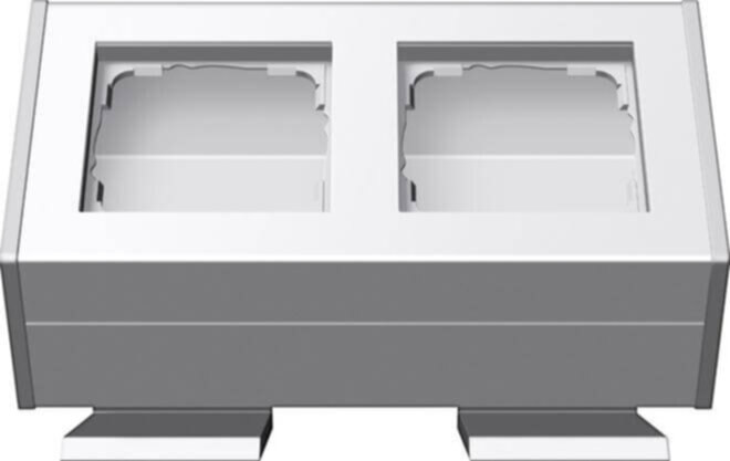 Gira Gira Gehäuse 2-fach reinweiß m.Befestigungswinkel 119227