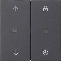 Gira Bedienaufsatz Memory anthrazit 536328