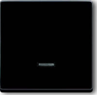 Busch-Jaeger Bedienelement Mem-Tast. 6543-81-101