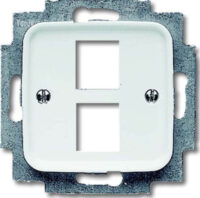 Busch-Jaeger Zentralscheibe alpinweiß für 2 Modular Jack 2561-02-214
