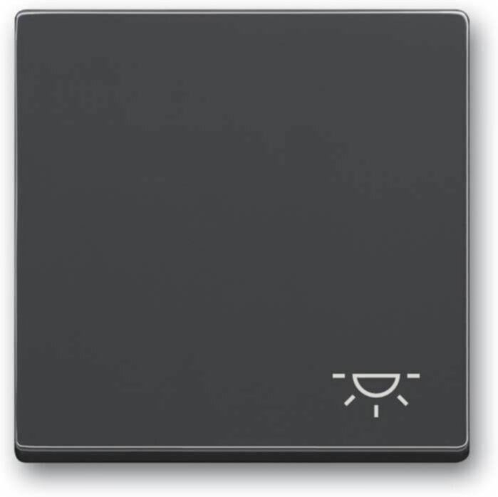 Busch-Jaeger Busch-Jaeger Wippe mit Aufdruck anthrazit 2520 LI-81