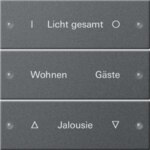 Gira 220328 Wippenset 3-fach beschreibbar System 55 Anthrazit (lackiert)