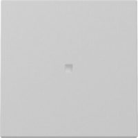 GIRA 3290015 Wippe Kontrollfenster System 55 Grau matt (lackiert)