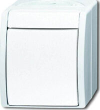 Busch-Jaeger Wipptaster, Schließer 2621 W-54